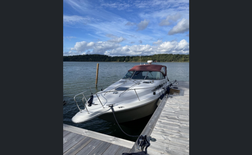 Sea Ray Sundancer 280-kuva-6